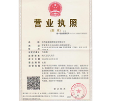 資質證書